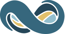 NetSuite Logo